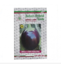 Brinjal Prabha Kiran 10 grams